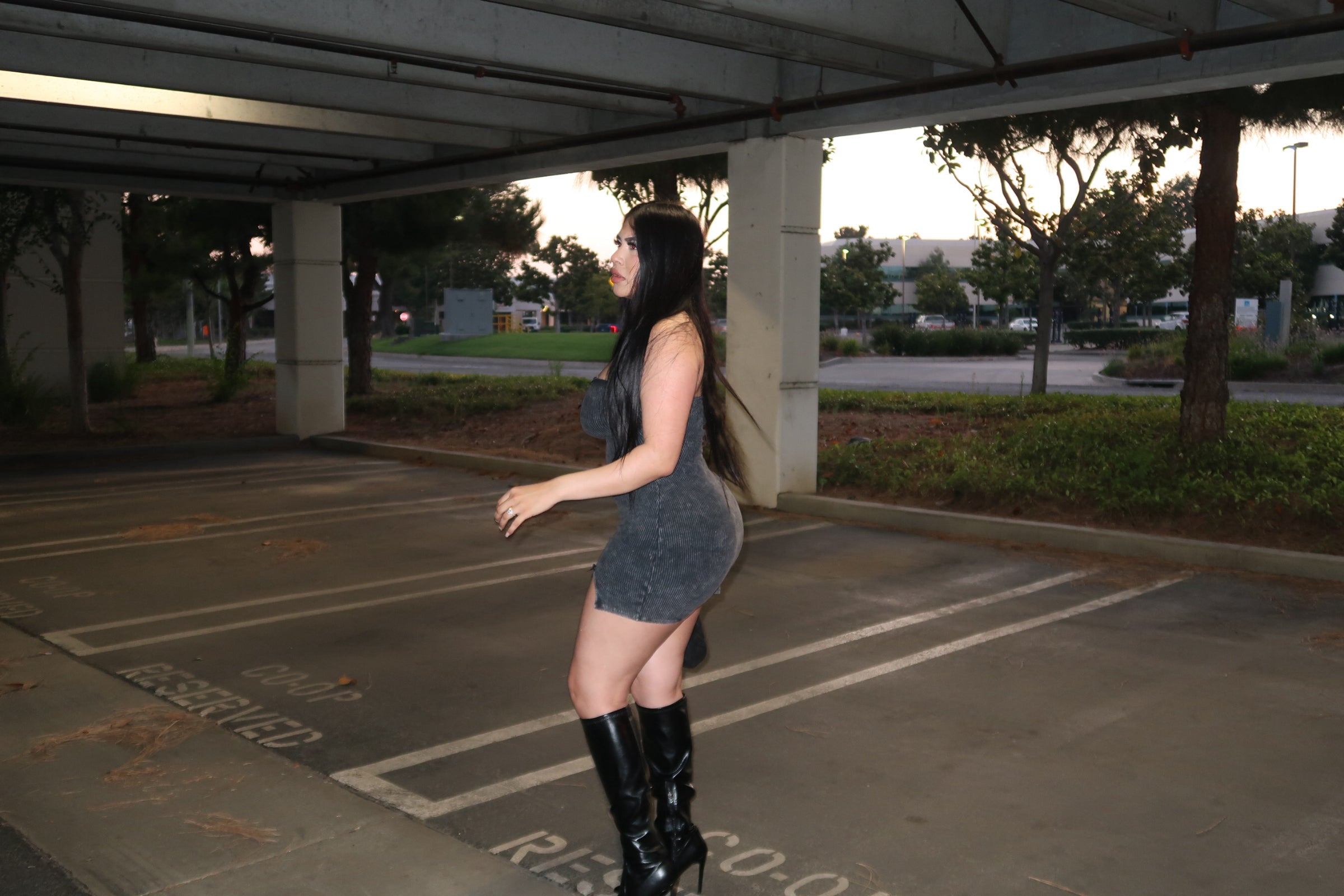 Coqueta Dress